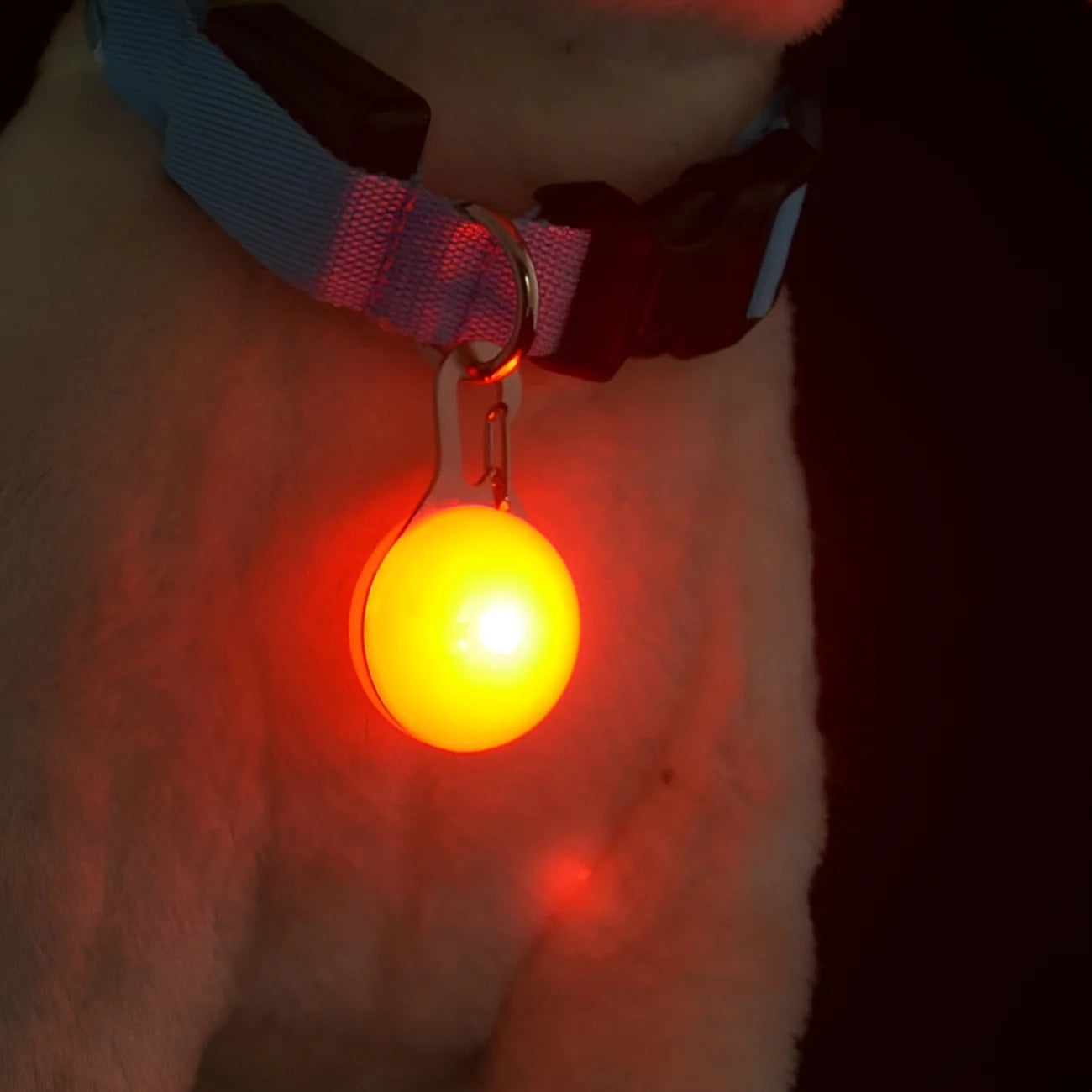 Water-Resistant Clip-On LED Collar Lights for Dogs & Cats – 6-Pack, 6 Colors, 5 Flashing Modes, Battery Included