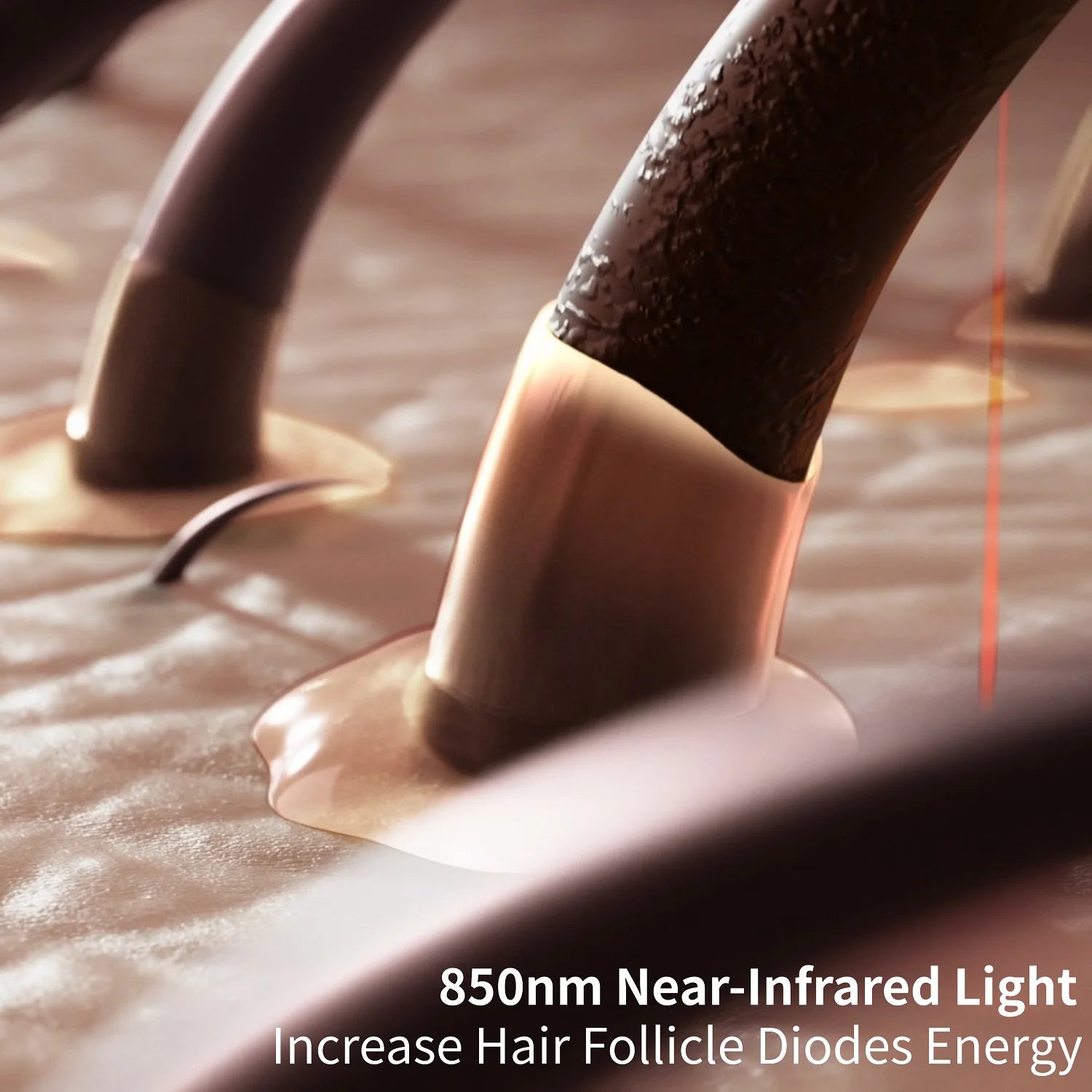 Scalp Trilogy Massager – Smart Waterproof Scalp Brush Combo for Hair Growth, Detangling & Styling