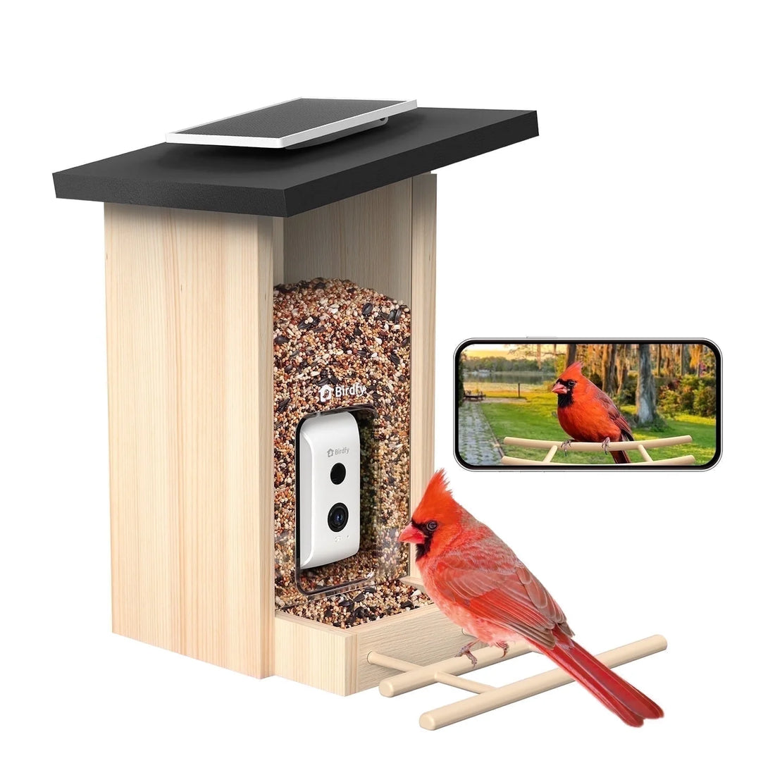 Smart Bird Feeder with Camera &amp; Solar Panel – AI Identifies 6000+ Species, Eco-Friendly Wooden Design, 1080P HD Bird Watching Camera – Ideal Gift (Ebony)
