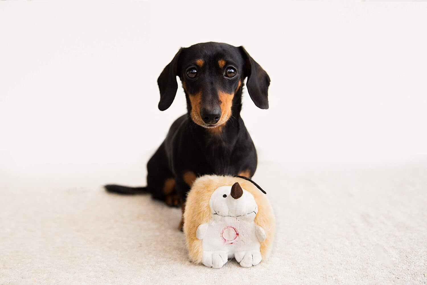 Pet Qwerks Plush Hedgehog Interactive Dog Toy – Chattering Electronic Sound Toy for Dogs