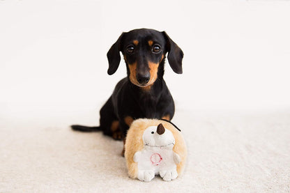 Pet Qwerks Plush Hedgehog Interactive Dog Toy – Chattering Electronic Sound Toy for Dogs