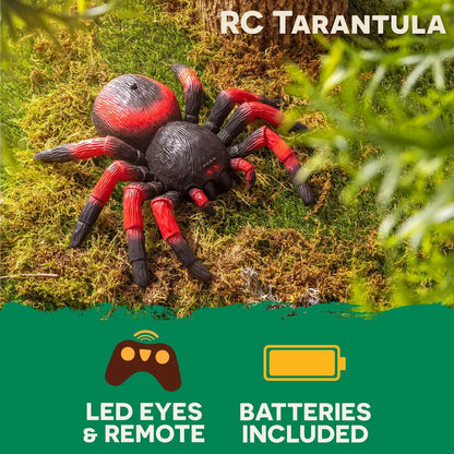 Terra by Battat Remote Control Spider – Infrared Light-Up Tarantula Toy for Kids