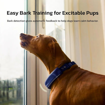 Wireless Fence GPS Dog Collar – AI Analysis, Precise Positioning, 5-Day Battery, IP68 Waterproof | Gray