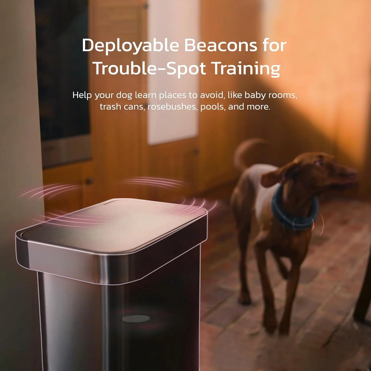 Wireless Fence GPS Dog Collar – AI Analysis, Precise Positioning, 5-Day Battery, IP68 Waterproof | Gray