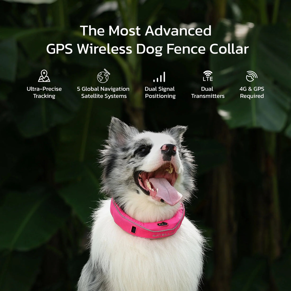 Wireless Fence GPS Dog Collar – AI Analysis, Precise Positioning, 5-Day Battery, IP68 Waterproof | Gray