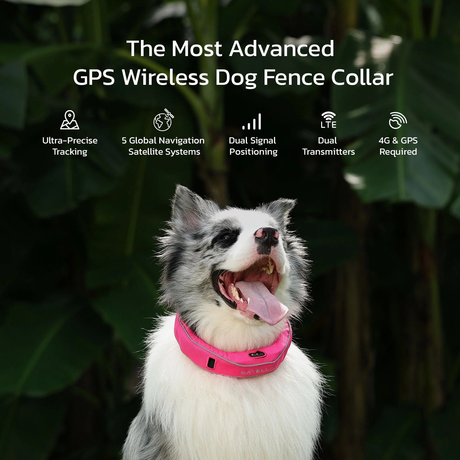 Wireless Fence GPS Dog Collar – AI Analysis, Precise Positioning, 5-Day Battery, IP68 Waterproof | Gray
