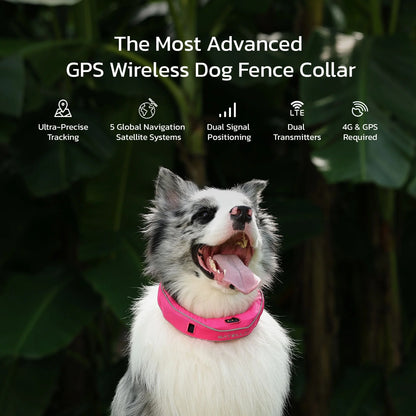Wireless Fence GPS Dog Collar – AI Analysis, Precise Positioning, 5-Day Battery, IP68 Waterproof | Gray