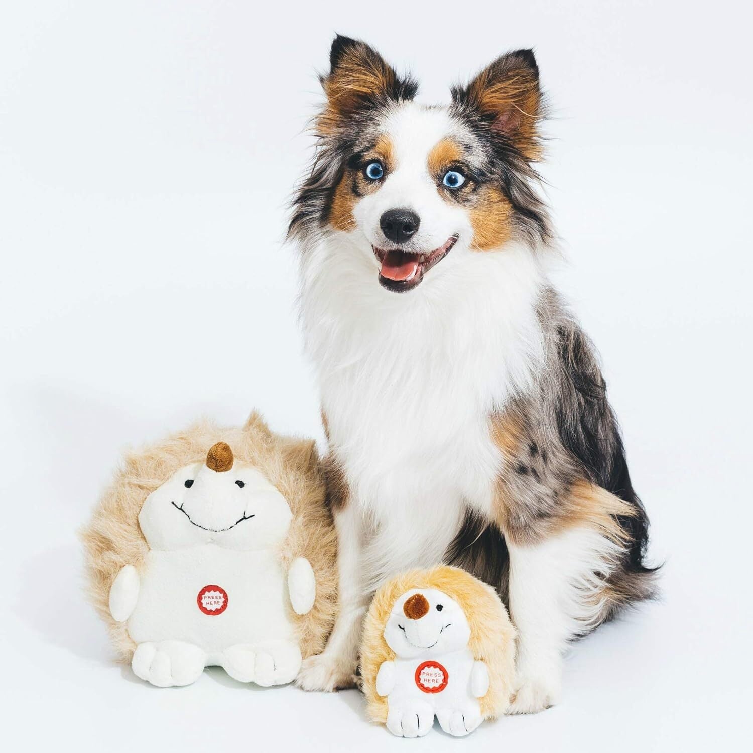 Pet Qwerks Plush Hedgehog Interactive Dog Toy – Chattering Electronic Sound Toy for Dogs