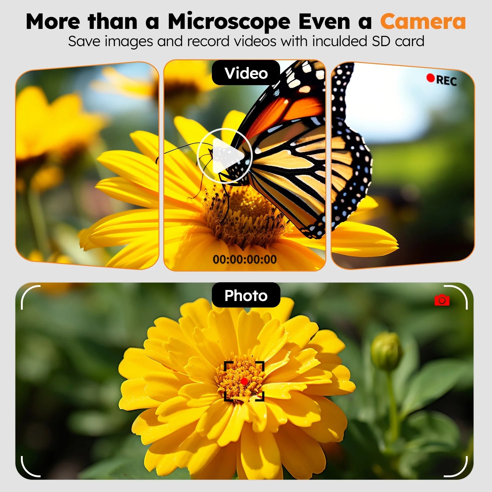 🔬 BEBANG 10.1&quot; LCD Digital Microscope – 1200X Magnification with 12MP Camera, Dual LED Lighting, 1080P Imaging, Remote Control, and 32GB SD Card